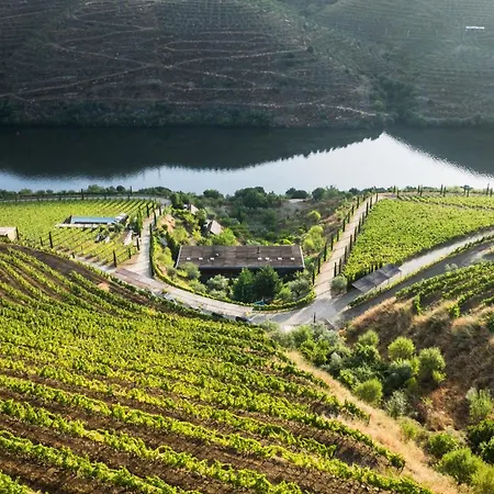 Casa Do Rio - Douro Wine By Vallado Farmház