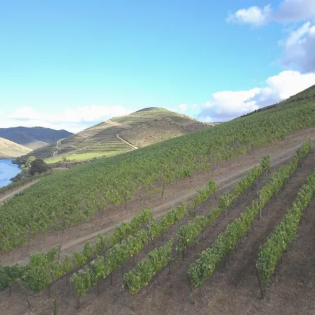 Casa Do Rio - Douro Wine By Vallado Vila Nova de Foz Coa