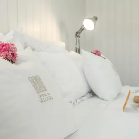 Alloggio per agriturismo Casa Do Rio - Douro Wine By Vallado *