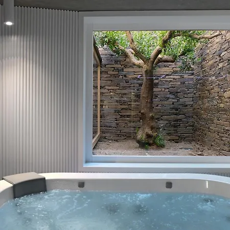 Alojamento de Turismo Rural Casa Do Rio - Douro Wine By Vallado *