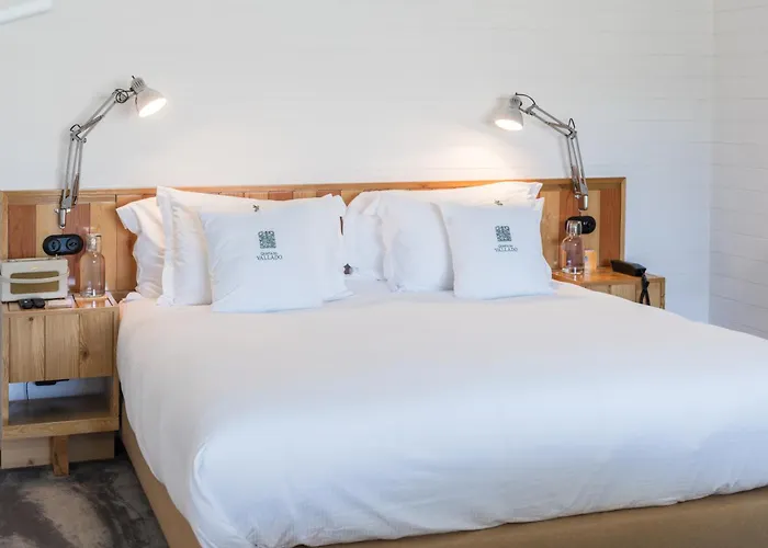 Çiftlik konaklama Casa Do Rio - Douro Wine By Vallado