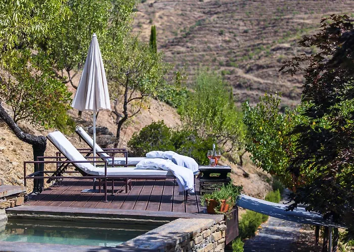 Çiftlik konaklama Casa Do Rio - Douro Wine By Vallado