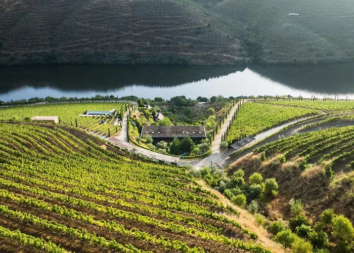 Casa Do Rio - Douro Wine By Vallado Feriegård
